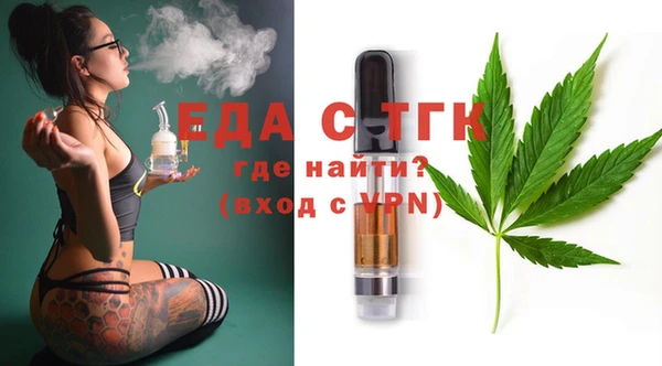 амф Верхний Тагил