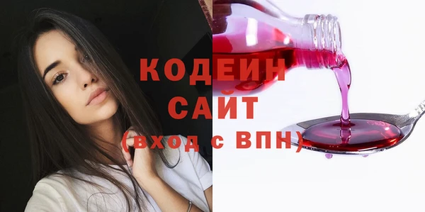 амф Верхний Тагил