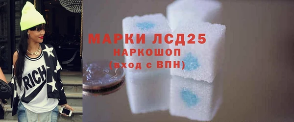 амф Верхний Тагил