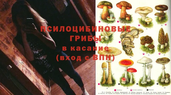 амф Верхний Тагил