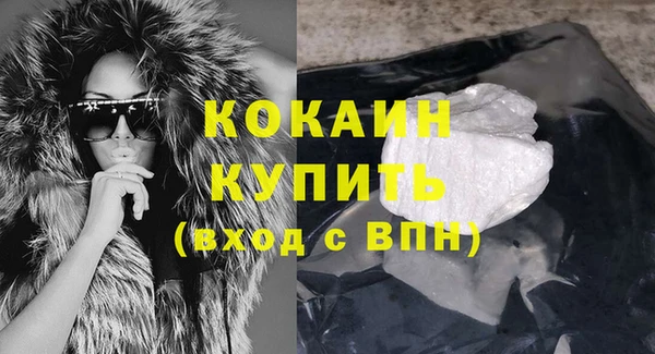 амф Верхний Тагил