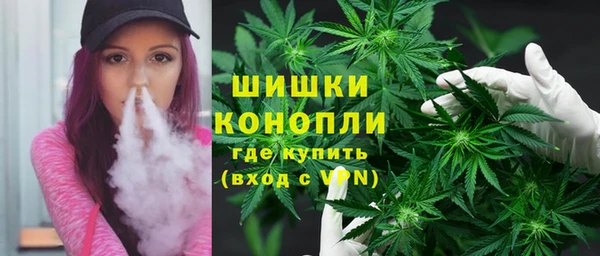 амф Верхний Тагил